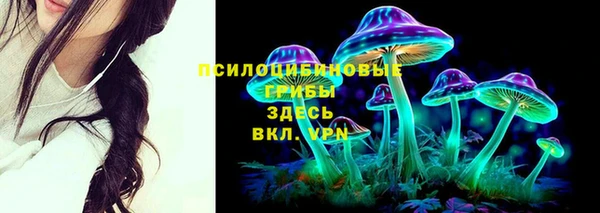 mix Абаза
