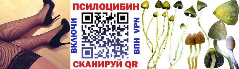 Галлюциногенные грибы ЛСД  omg как войти  Камышлов 